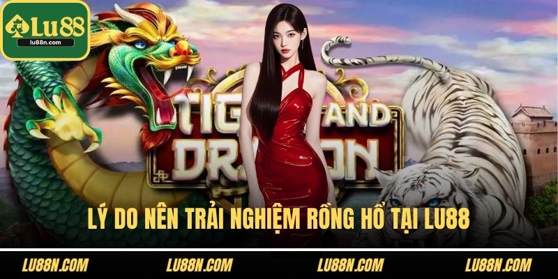 Lý do nên trải nghiệm rồng hổ tại LU88