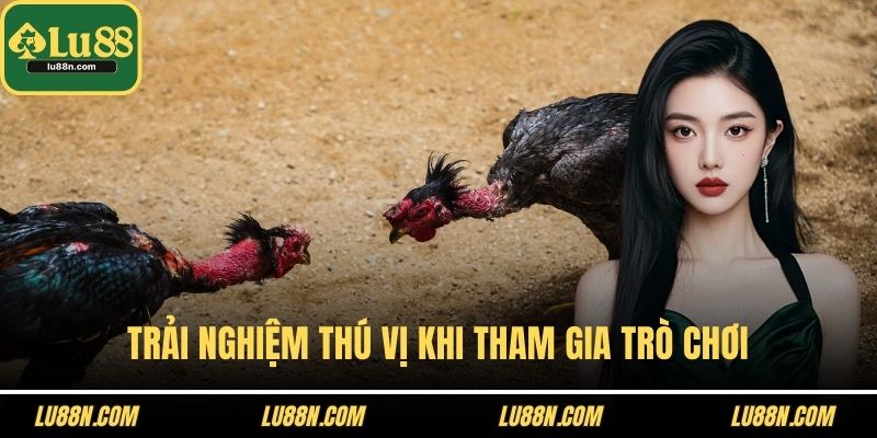 Trải nghiệm thú vị khi tham gia trò chơi
